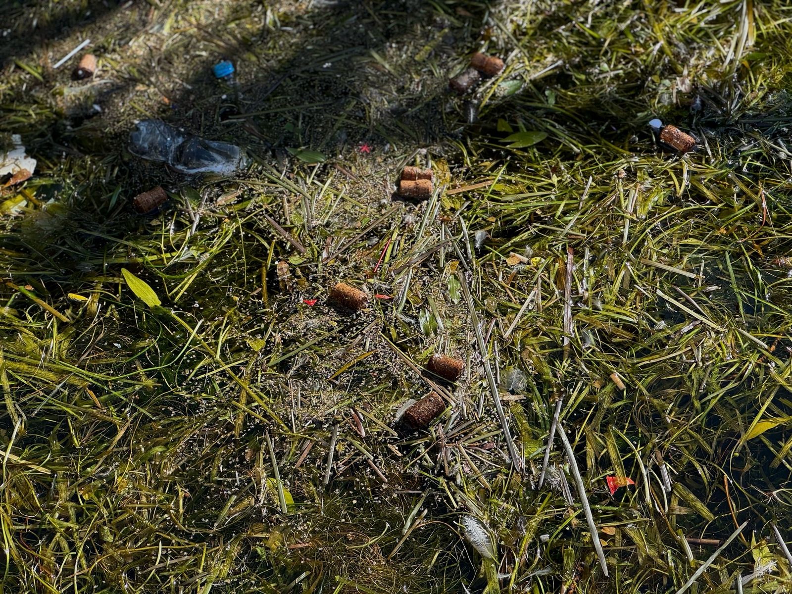 1-20260812195928.jpg